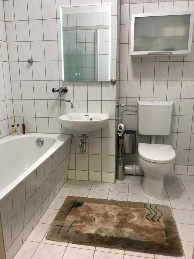 Zentrumsnahe Leipzig-Apartments, Nahe Ufz Und Bmw Inkl Parkplatz Und Fahrraeder Kültér fotó