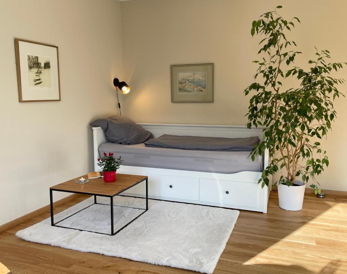 Zentrumsnahe Leipzig-Apartments, Nahe Ufz Und Bmw Inkl Parkplatz Und Fahrraeder Kültér fotó